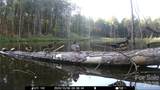 1440-2 Carl Taylor Road - Photo 18