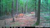 1440-2 Carl Taylor Road - Photo 19