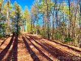 Lot 126 & Lot 127A Sunset Creek Lane - Photo 21