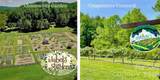 Lot 126 & Lot 127A Sunset Creek Lane - Photo 41