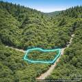 Lot 124 Trellis Drive - Photo 5