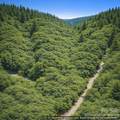 Lot 124 Trellis Drive - Photo 6