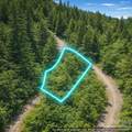 Lot 124 Trellis Drive - Photo 7