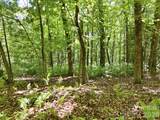 0 Mulberry Circle - Photo 14