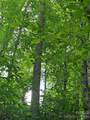 108 Tenderfoot Trail - Photo 15