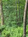108 Tenderfoot Trail - Photo 17