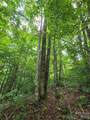 108 Tenderfoot Trail - Photo 4