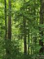 108 Tenderfoot Trail - Photo 7