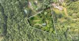 149 Charlie Mac Drive - Photo 43
