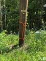 0000 Chimney Ridge Trail - Photo 3