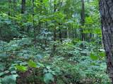 0000 Chimney Ridge Trail - Photo 10