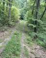 2060 Us 19 Highway - Photo 5