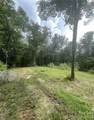 2060 Us 19 Highway - Photo 6