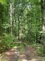 2060 Us 19 Highway - Photo 9
