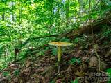 000 Cove Mountain Road - Photo 11