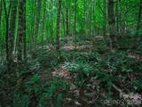 000 Cove Mountain Road - Photo 12