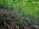 000 Cove Mountain Road - Photo 13