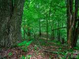 000 Cove Mountain Road - Photo 14