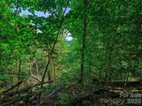 000 Cove Mountain Road - Photo 15
