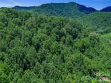 000 Cove Mountain Road - Photo 18