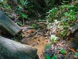 000 Cove Mountain Road - Photo 3
