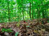 000 Cove Mountain Road - Photo 23
