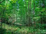 000 Cove Mountain Road - Photo 25