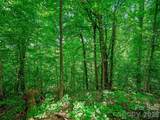000 Cove Mountain Road - Photo 10