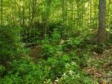 0000 Red Bud Lane - Photo 20