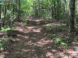 0 Old Johns River Road - Photo 11