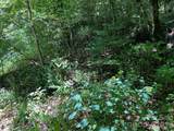 0 Old Johns River Road - Photo 13