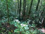 0 Old Johns River Road - Photo 3