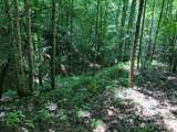 0 Old Johns River Road - Photo 9