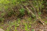0000 Pressley Creek Road - Photo 6