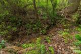 0000 Pressley Creek Road - Photo 7