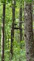 99999 Beaverdam Loop Road - Photo 17