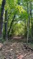 99999 Beaverdam Loop Road - Photo 9