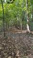 99999 Beaverdam Loop Road - Photo 10