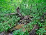 0 Ogle Meadows Road - Photo 5