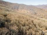 00 Wildflower Cove Road - Photo 11