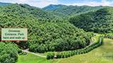 6740 Timber Rock Drive - Photo 11