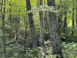 LT C28 Lodgepole Trail - Photo 11
