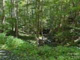 7 Wolfsbane Trail - Photo 11