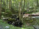 7 Wolfsbane Trail - Photo 9
