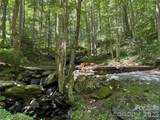 7 Wolfsbane Trail - Photo 10
