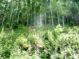 870 Bairds Creek Road - Photo 9