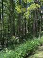 Lot 49 Rocky Ridge Road - Photo 3
