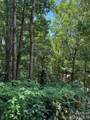Lot 49 Rocky Ridge Road - Photo 4