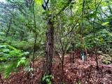 Lot 40 Hawk Mountain Road - Photo 15