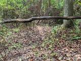 00 Whitt Road - Photo 12
